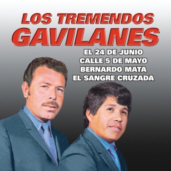 Los Tremendos Gavilanes Calle 5 de Mayo