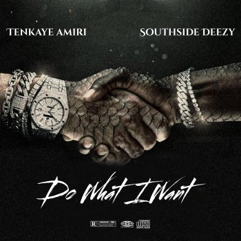 TenKaye Gates Do What I Want (feat. Southside Deezy)