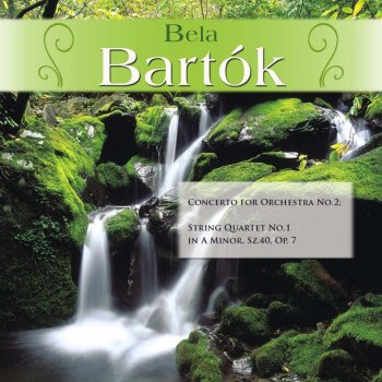 Béla Bartók feat. Fine Arts Quartet;Bela Bartók String Quartet No.1 in A Minor, Sz.40, Op. 7: III. Introduzione: Allegro vivace
