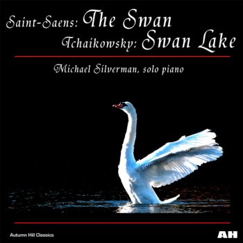Michael Silverman Swan Lake