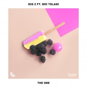 Big Z feat. Bri Tolani The One