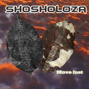 Synergy Shosholoza