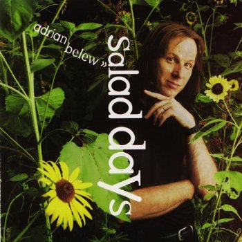Adrian Belew Never Enough