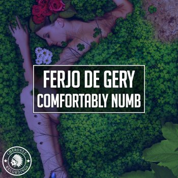 Ferjo De Gery Comfortably Numb
