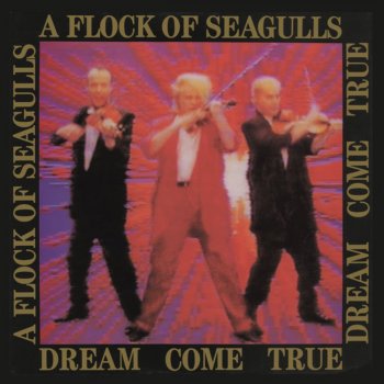 A Flock of Seagulls Cry Like a Baby