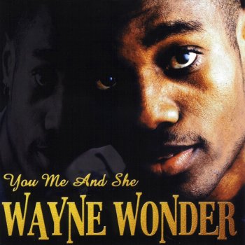 Wayne Wonder Never Want to Let You Down