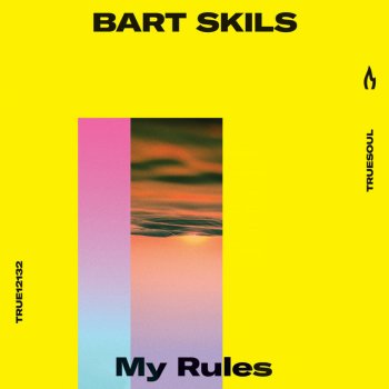 Bart Skils My Rules