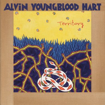 Alvin Youngblood Hart Illinois Blues