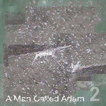 A Man Called Adam Barefoot in the Head (Justin Roberston/ Caged Baby Remix)