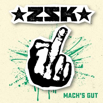 ZSK Mach's gut