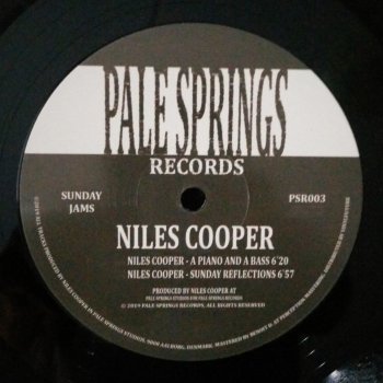 Niles Cooper A Piano and a Bass