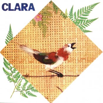 Clara Nunes Coroa De Areia