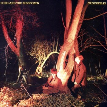 Echo & The Bunnymen Crocodiles (live)