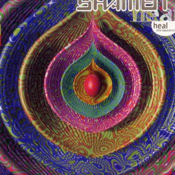 The Shamen Heal (The Separation) [Steve Osbourne Ambient 12"]