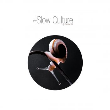 Slow Culture Plex - Original Mix