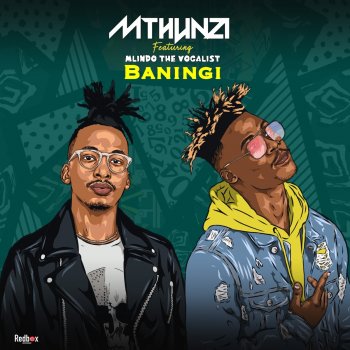 Mthunzi Baningi (feat. Mlindo The Vocalist)