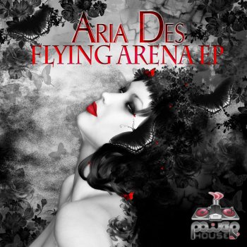 Aria Des Flying Arena