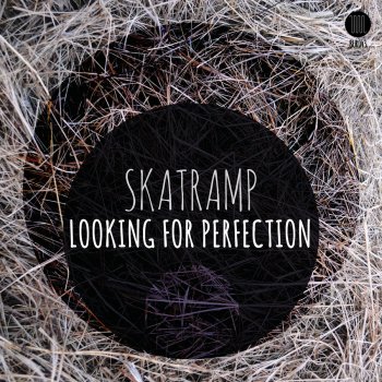 Skatramp Looking For Perfection - Shari DeLorian Remix