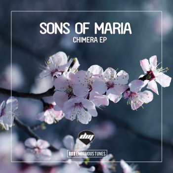 Sons Of Maria Chimera