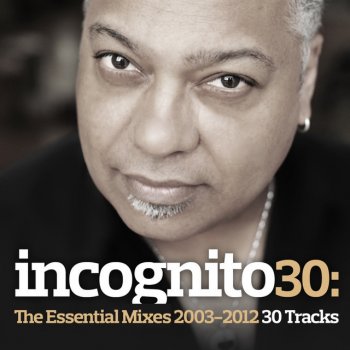 Incognito The Less You Know (Bluey's Extended Mix)
