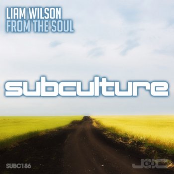 Liam Wilson From the Soul