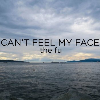 The Fu Can't Feel My Face