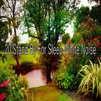 White Noise Research Mindful Noise With Harmony