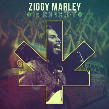 Ziggy Marley Reggae In My Head [live]