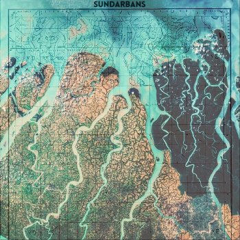 Sundarbans Horizonte de las Estrellas