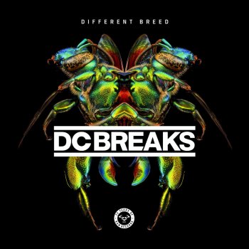 DC Breaks feat. Nuklear Dead or Alive (feat. Nuklear)