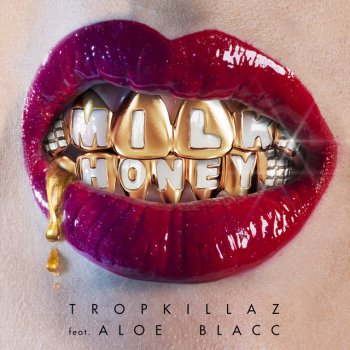 Tropkillaz feat. Aloe Blacc Milk & Honey