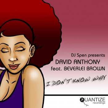 Dave Anthony feat. Beverlei Brown I Don't Know Why (Manoo Remix)