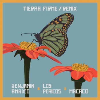Benjamín Amadeo feat. Macaco & Los Pericos Tierra Firme Remix