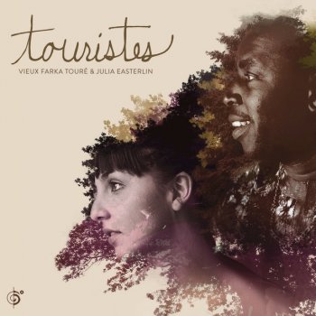 Vieux Farka Touré feat. Julia Easterlin Took My Brother Down