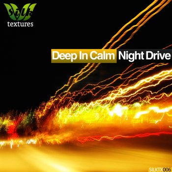 Deep In Calm Night Drive