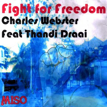 Charles Webster feat. Thandi Draai & Atjazz Fight for Freedom - Atjazz Astro Dub