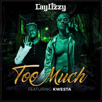Laylizzy feat. Kwesta Too Much