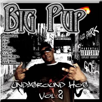Big Pup feat. Mike Hustle, Dougie D, Playa 4 Mayor & Coop D Da King Da Movement