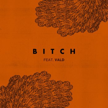 Lefa feat. Vald Bitch (feat. Vald)