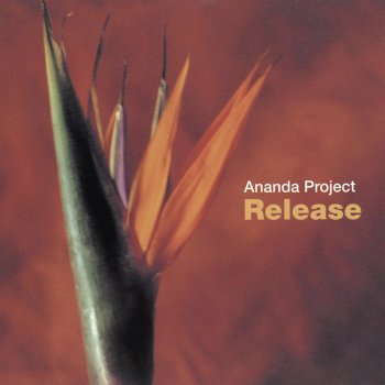 The Ananda Project Bahia