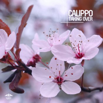 Calippo Taking Over - Radio Mix