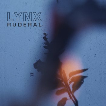 Lynx Prisa (feat. Gala Briê)