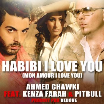 Ahmed Chawki feat. Pitbull Habibi I Love You - Arabic Radio Edit