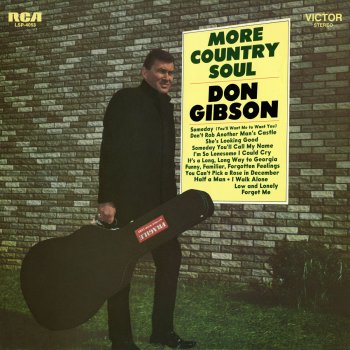 Don Gibson I'm So Lonesome I Could Cry