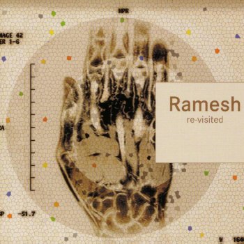 Ramesh The Visitor (Joo Kraus Remix)