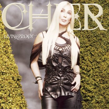Cher Different Kind Of Love Song - eclectic version