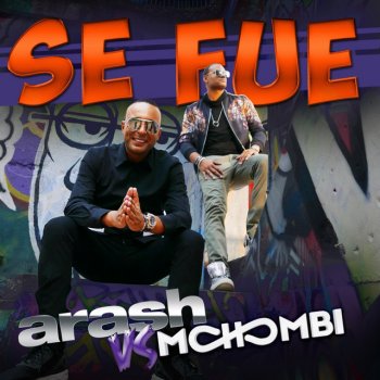 Arash Se Fue (with Mohombi) [Lowgan Remix]