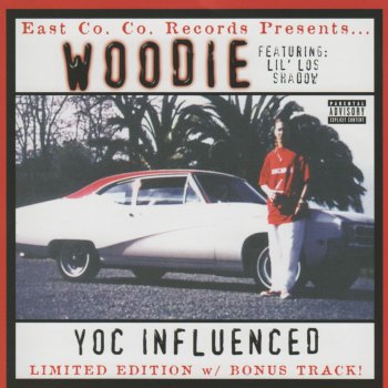 Woodie The Streets Are Callin' Me