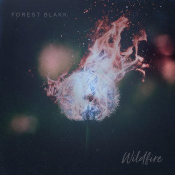 Forest Blakk Wildfire