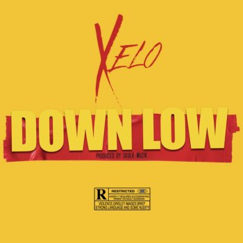 Xelo feat. Skulk Muzik Down Low